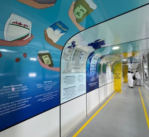 REMOVE-FLAG-2222222-12